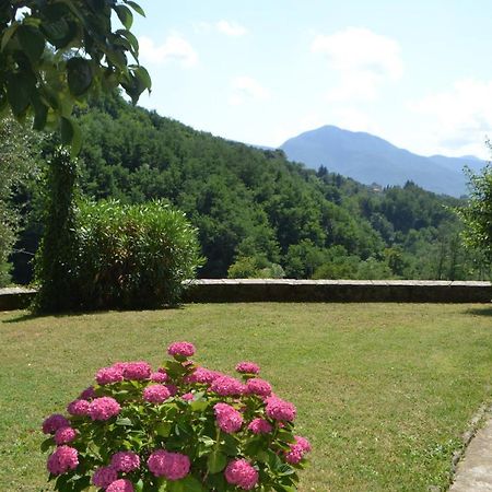La Limonaia Di Casagrande Villa Barga Bagian luar foto