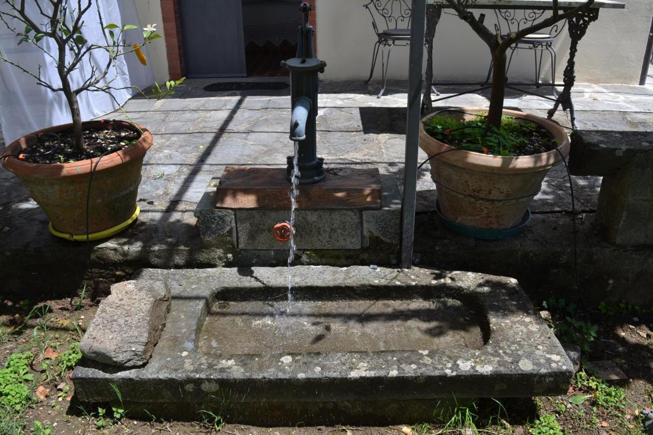La Limonaia Di Casagrande Villa Barga Bagian luar foto