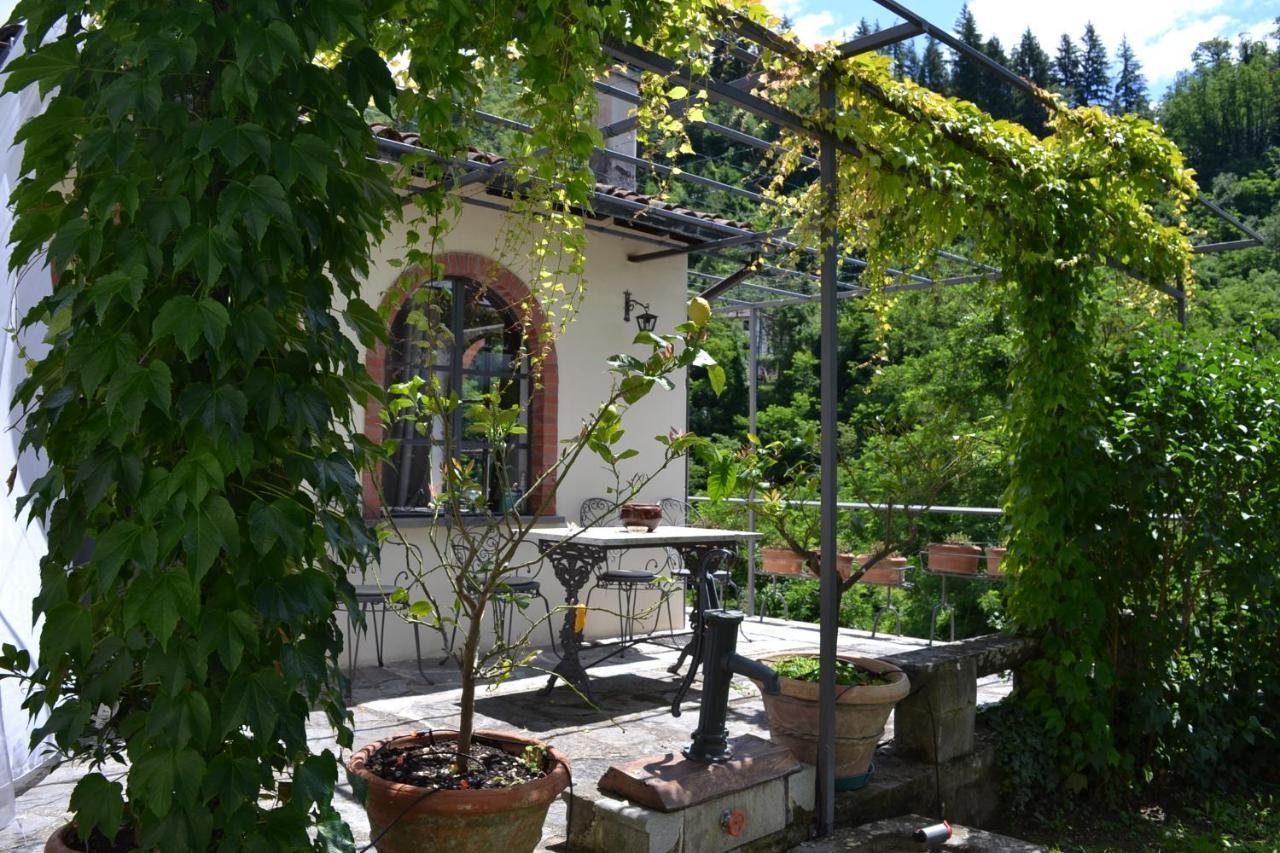 La Limonaia Di Casagrande Villa Barga Bagian luar foto