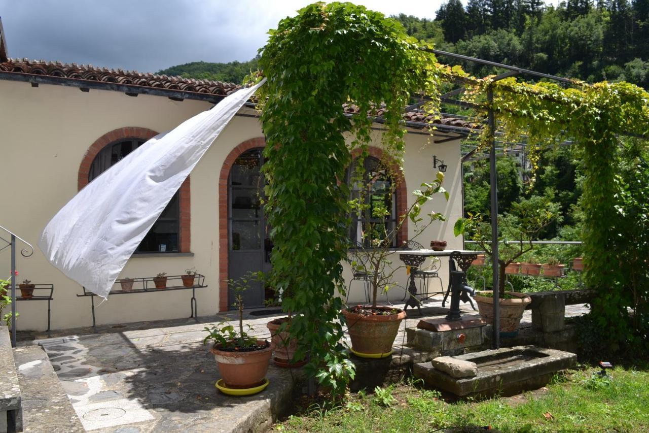 La Limonaia Di Casagrande Villa Barga Bagian luar foto