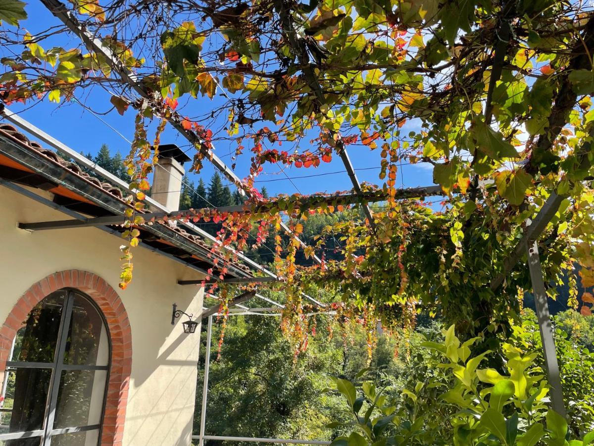 La Limonaia Di Casagrande Villa Barga Bagian luar foto