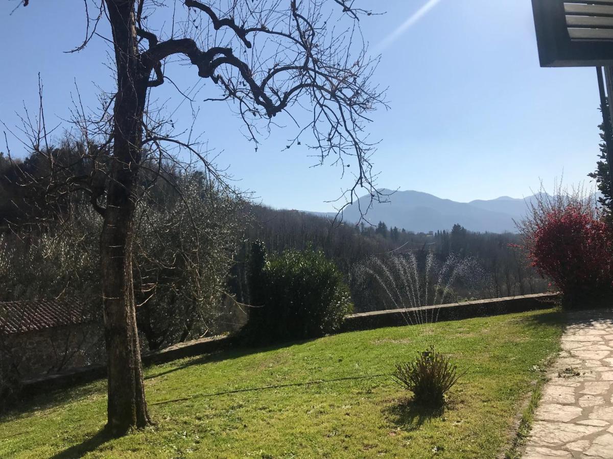 La Limonaia Di Casagrande Villa Barga Bagian luar foto
