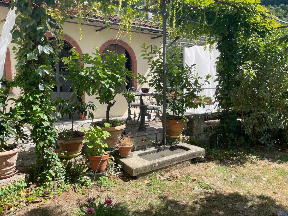 La Limonaia Di Casagrande Villa Barga Bagian luar foto