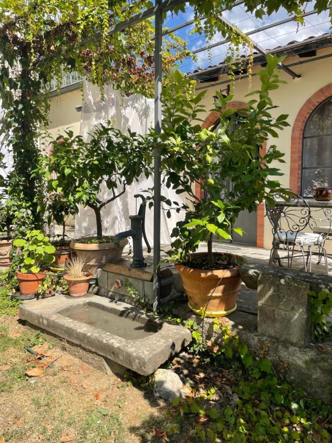 La Limonaia Di Casagrande Villa Barga Bagian luar foto