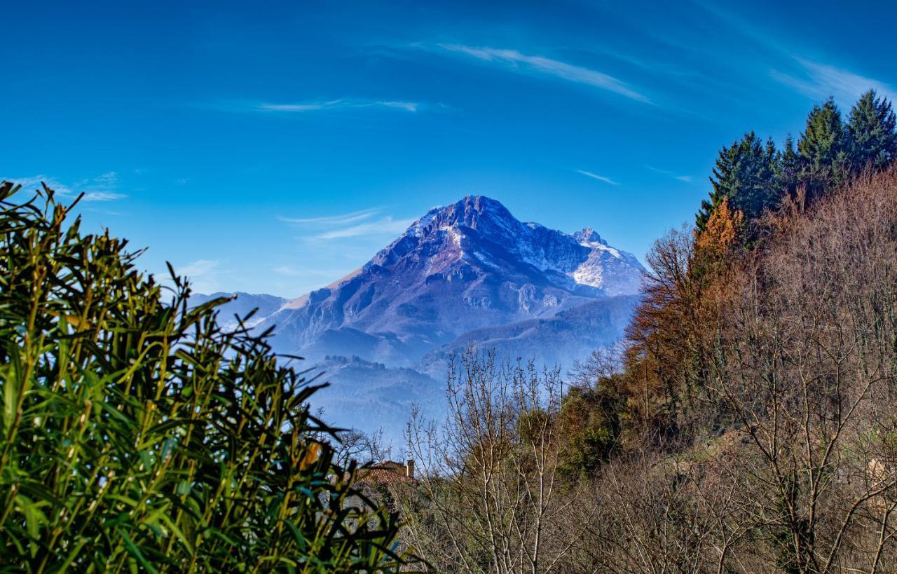 La Limonaia Di Casagrande Villa Barga Bagian luar foto