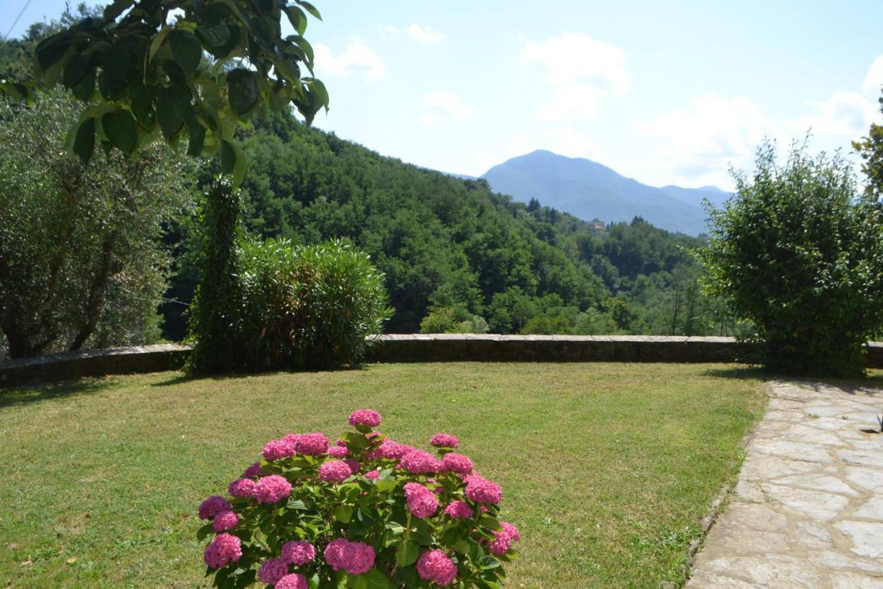 La Limonaia Di Casagrande Villa Barga Bagian luar foto